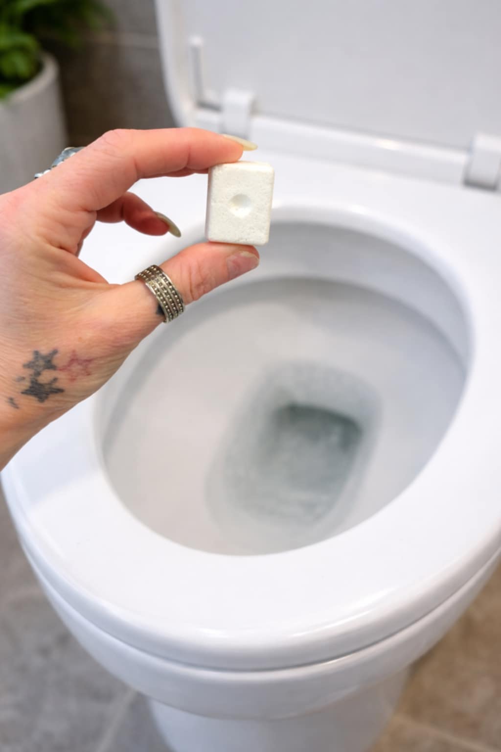 pastille effervescente wc pastille effervescente wc